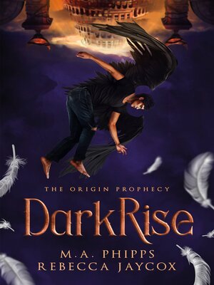 cover image of DarkRise